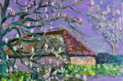Schuur met ontluikende magnolia in ochtendlicht
