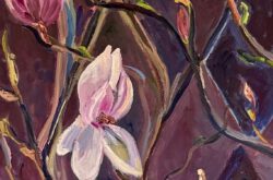 Magnoliaboom