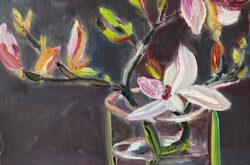 Magnolia in glazen vaas