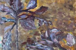 rode koel in het veld