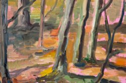 Buitenstvallaat herfst