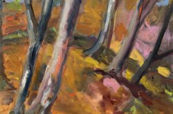 Buitenstvallaat in herfst 2